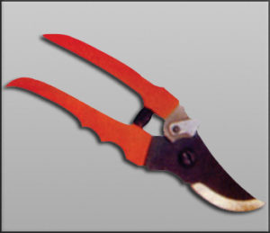 RR 202 : Lady Pruner