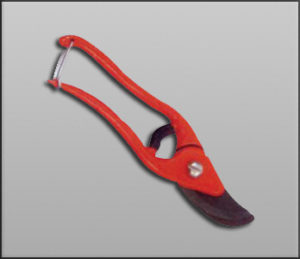RR 203 : Die Casted Flower Cutter