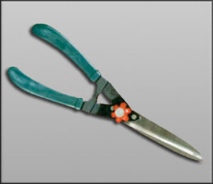 RR 205 : Hedge Shear