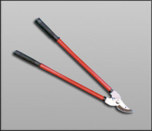 RR 206 : Looping Shear